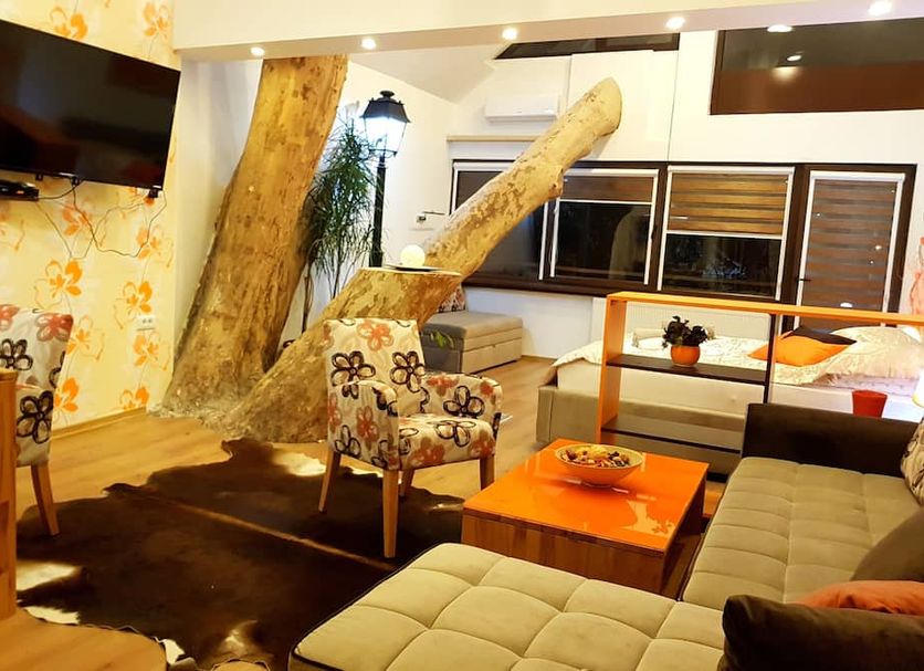 Living room Photo