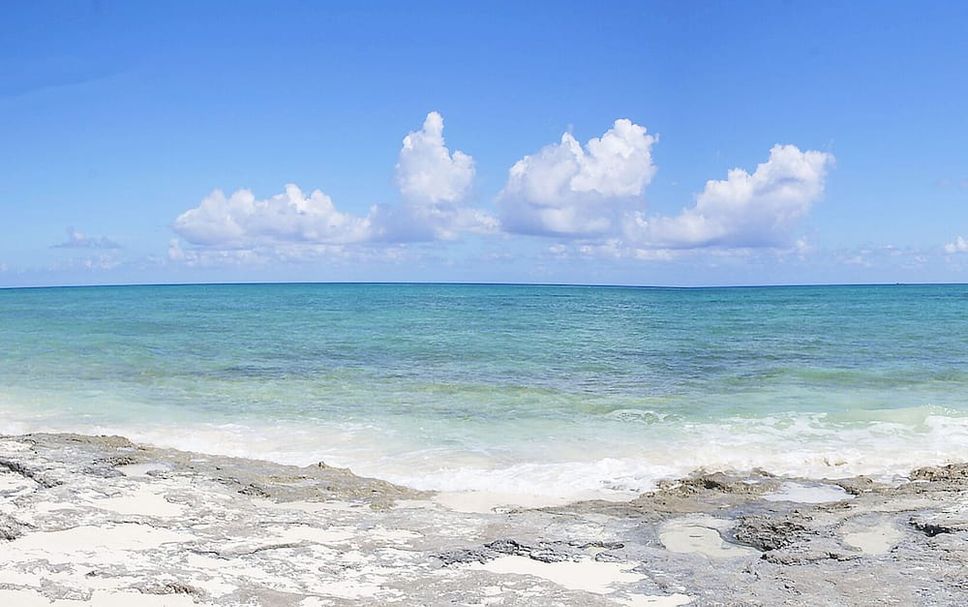 Beach Photo