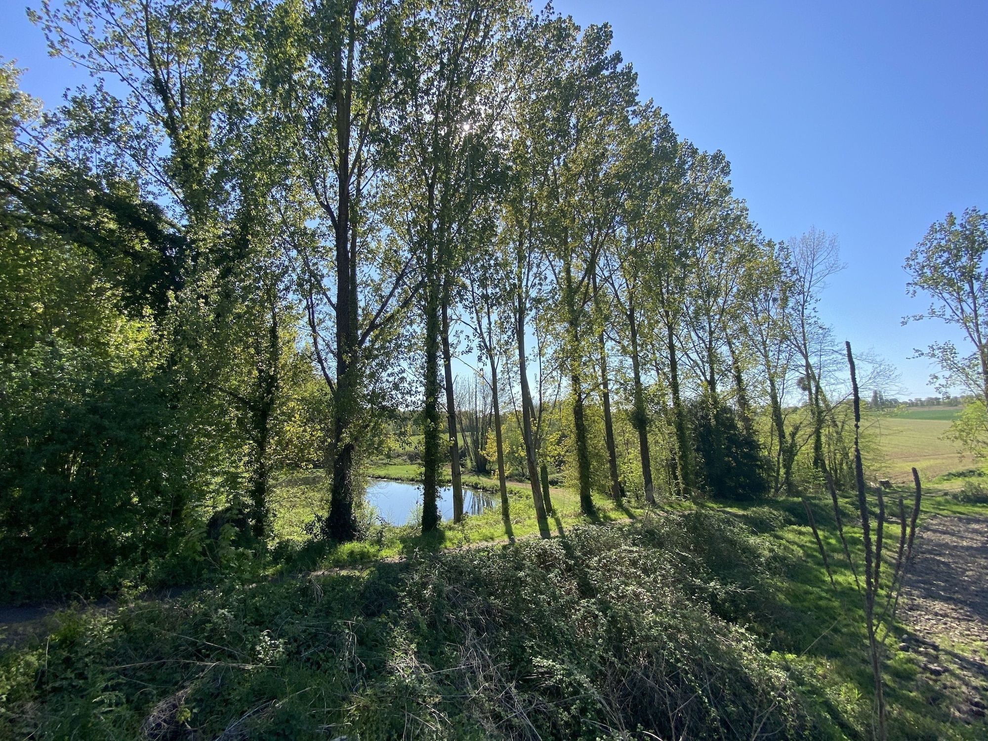 Outdoor view