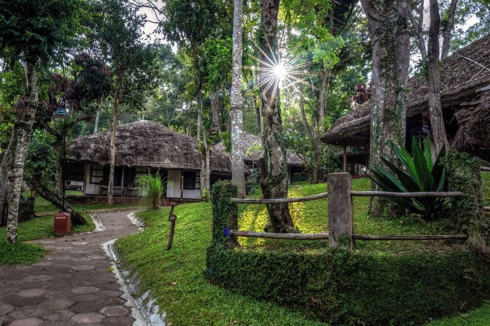 Outdoor view