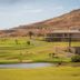Golf course