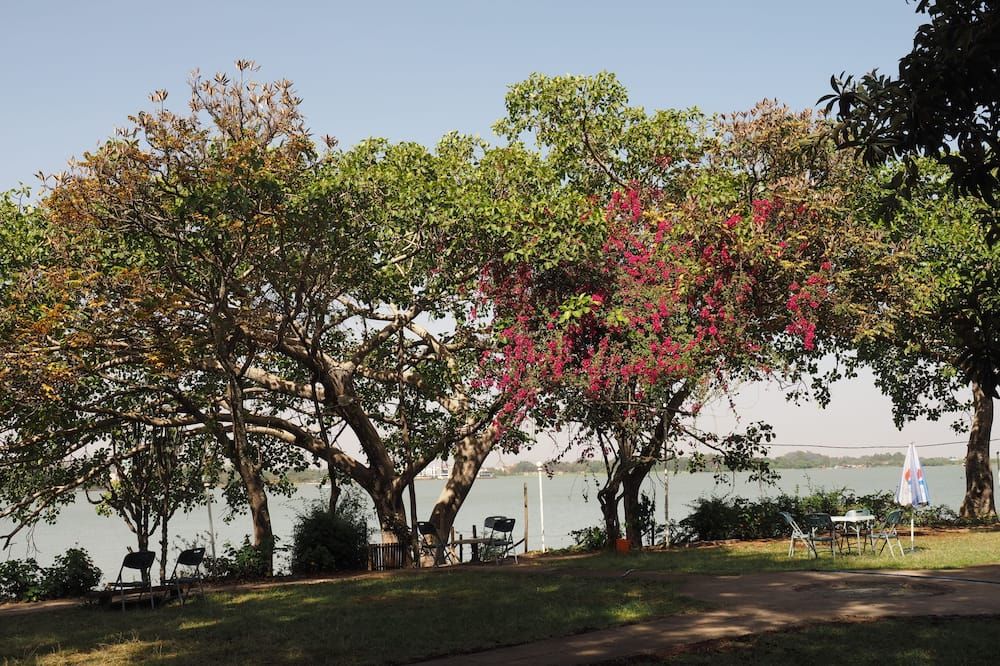 Outdoor view