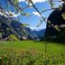 Outdoor view