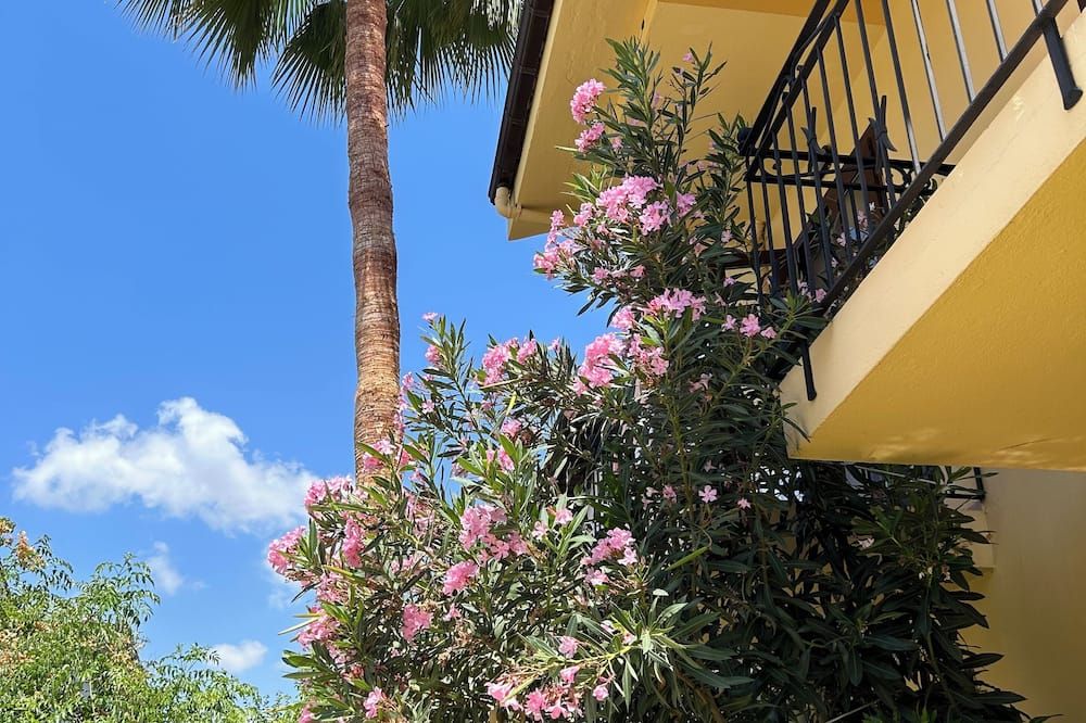 Outdoor view