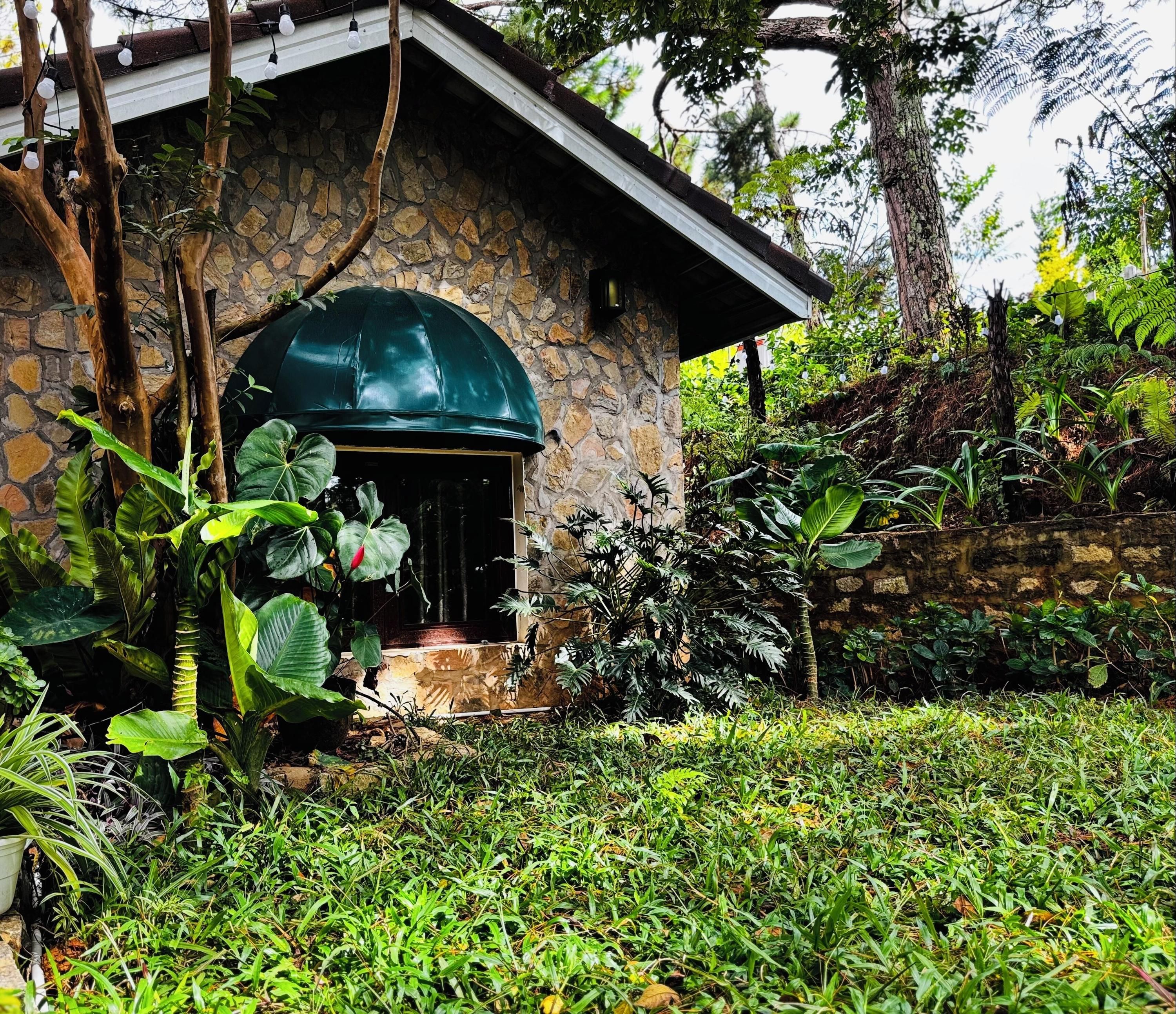 Outdoor view