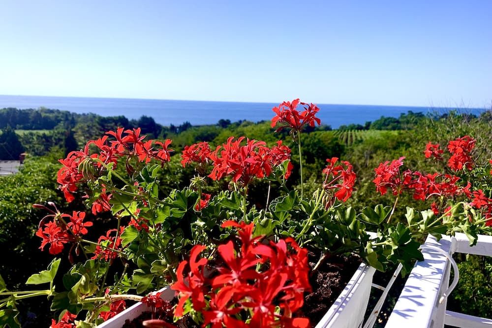 Outdoor view