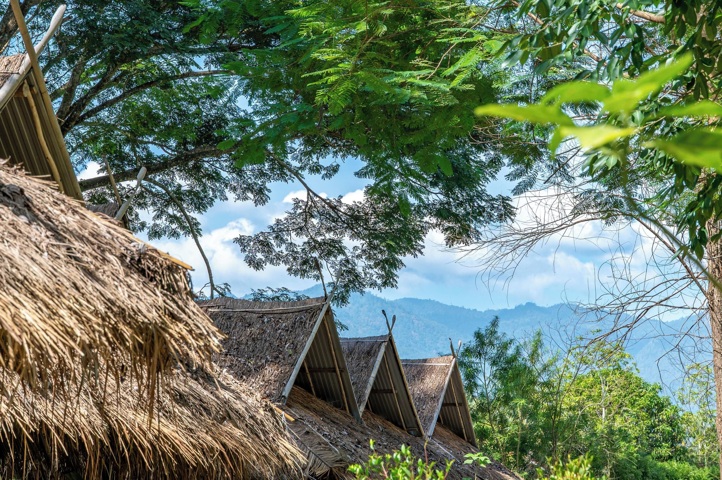 Outdoor view
