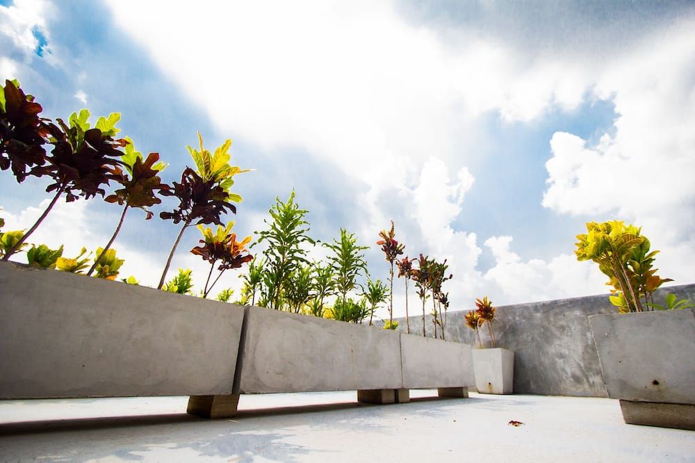 Outdoor view