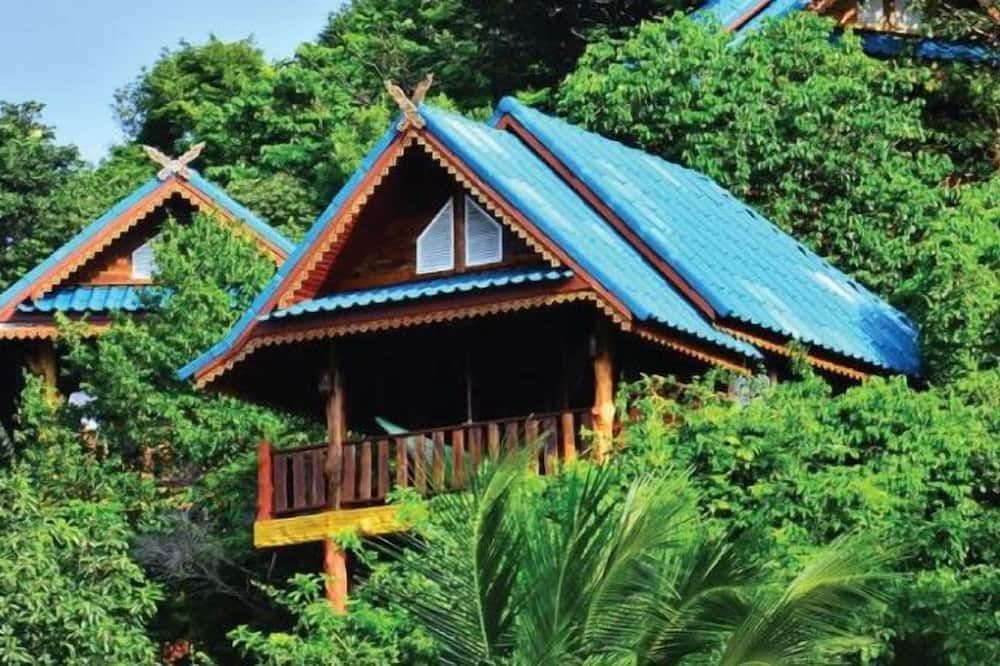 Outdoor view