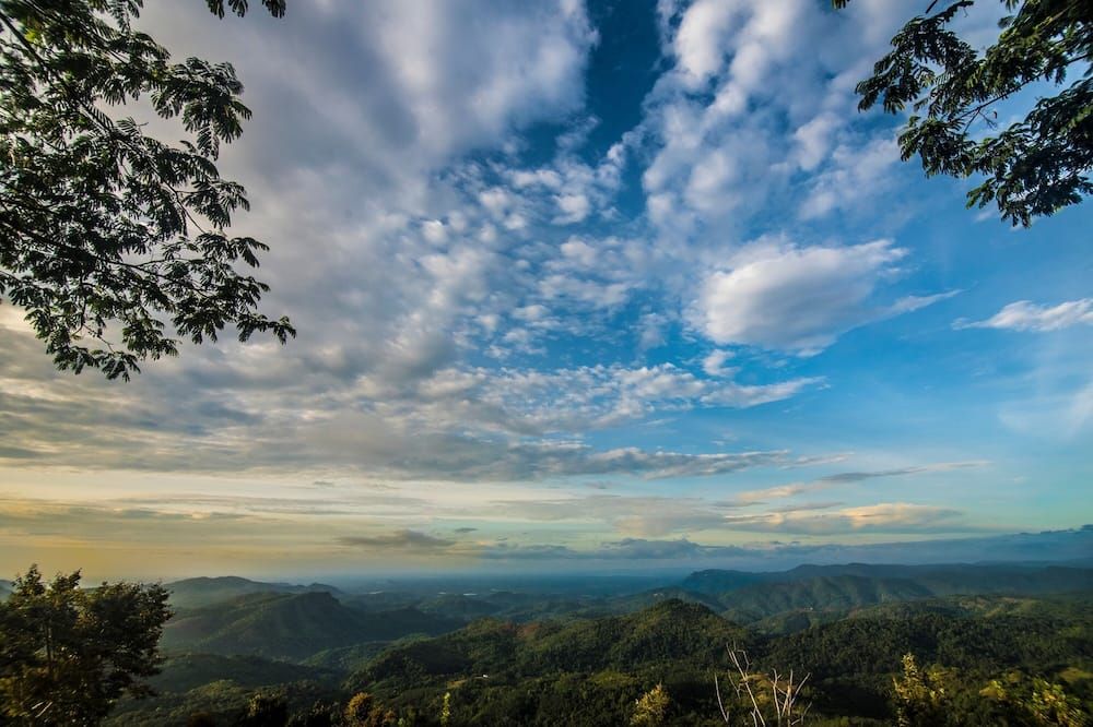 Outdoor view