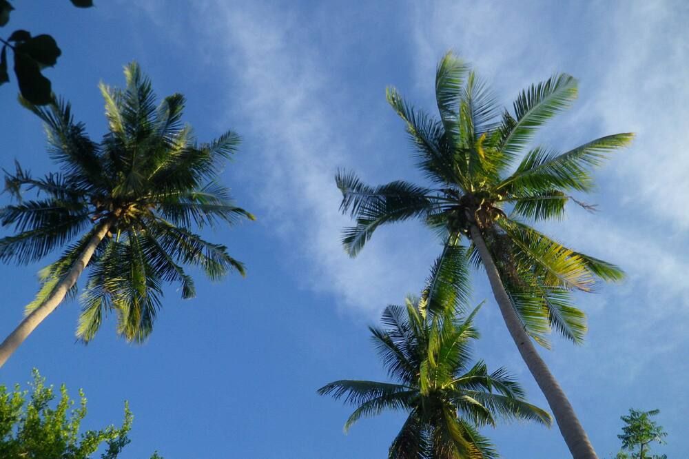 Outdoor view
