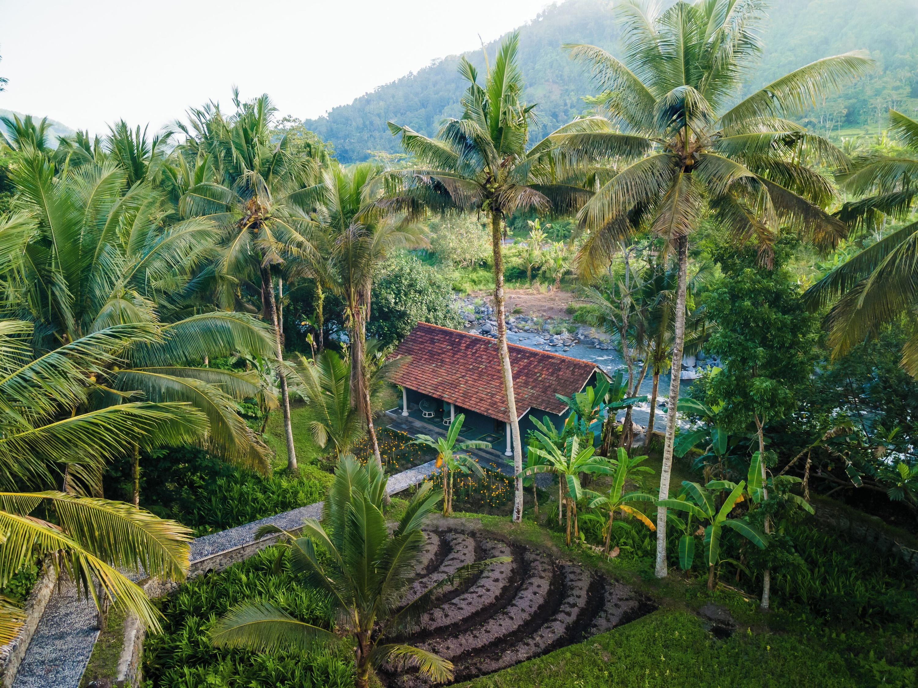 Outdoor view