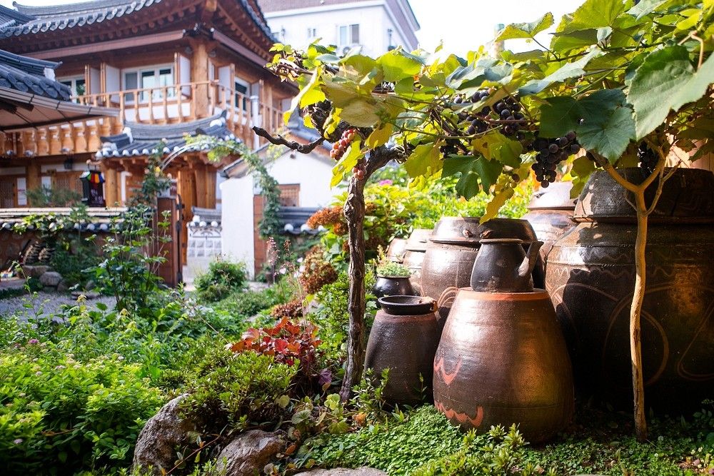 Outdoor view