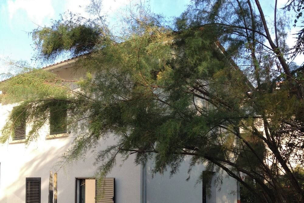 Outdoor view