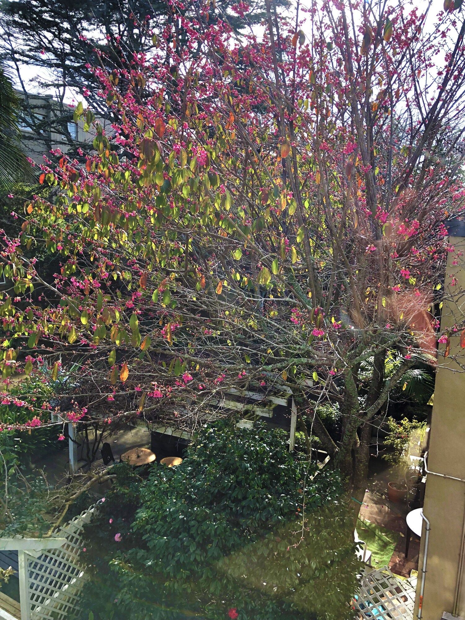 Outdoor view
