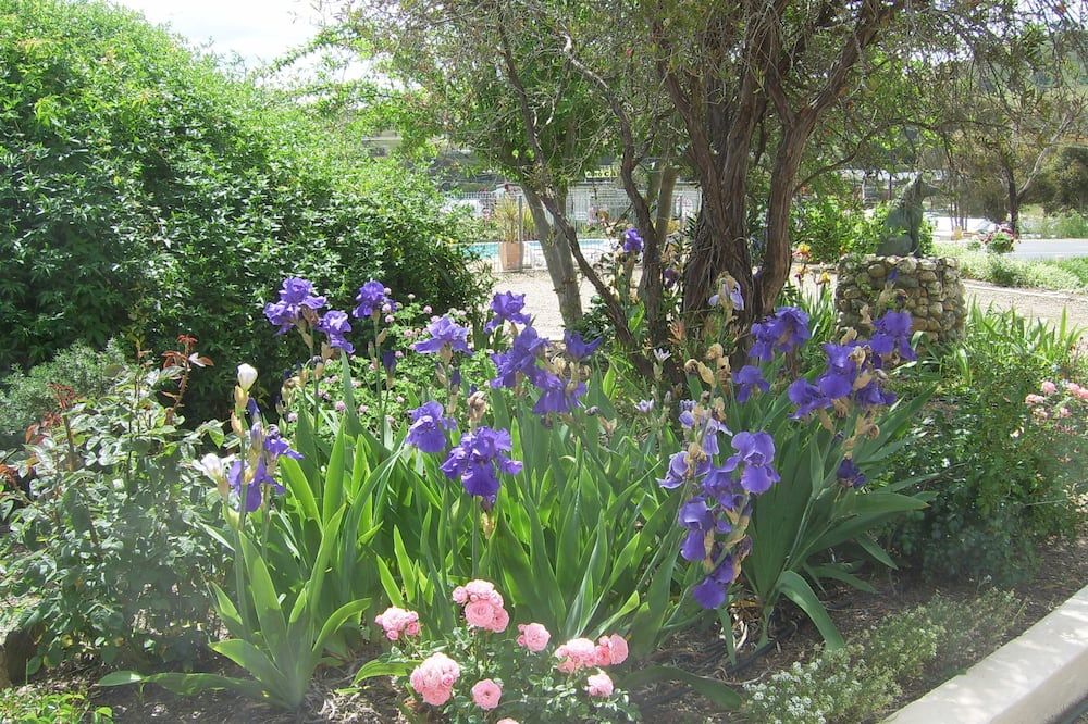Outdoor view