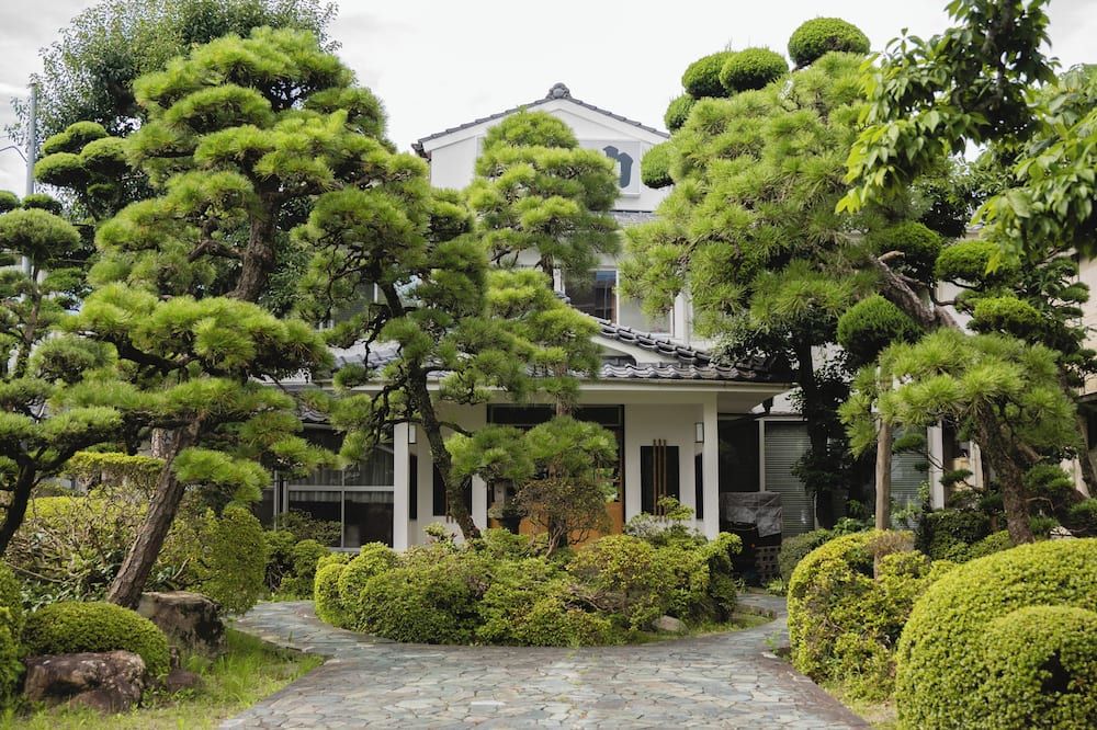 Outdoor view Photo