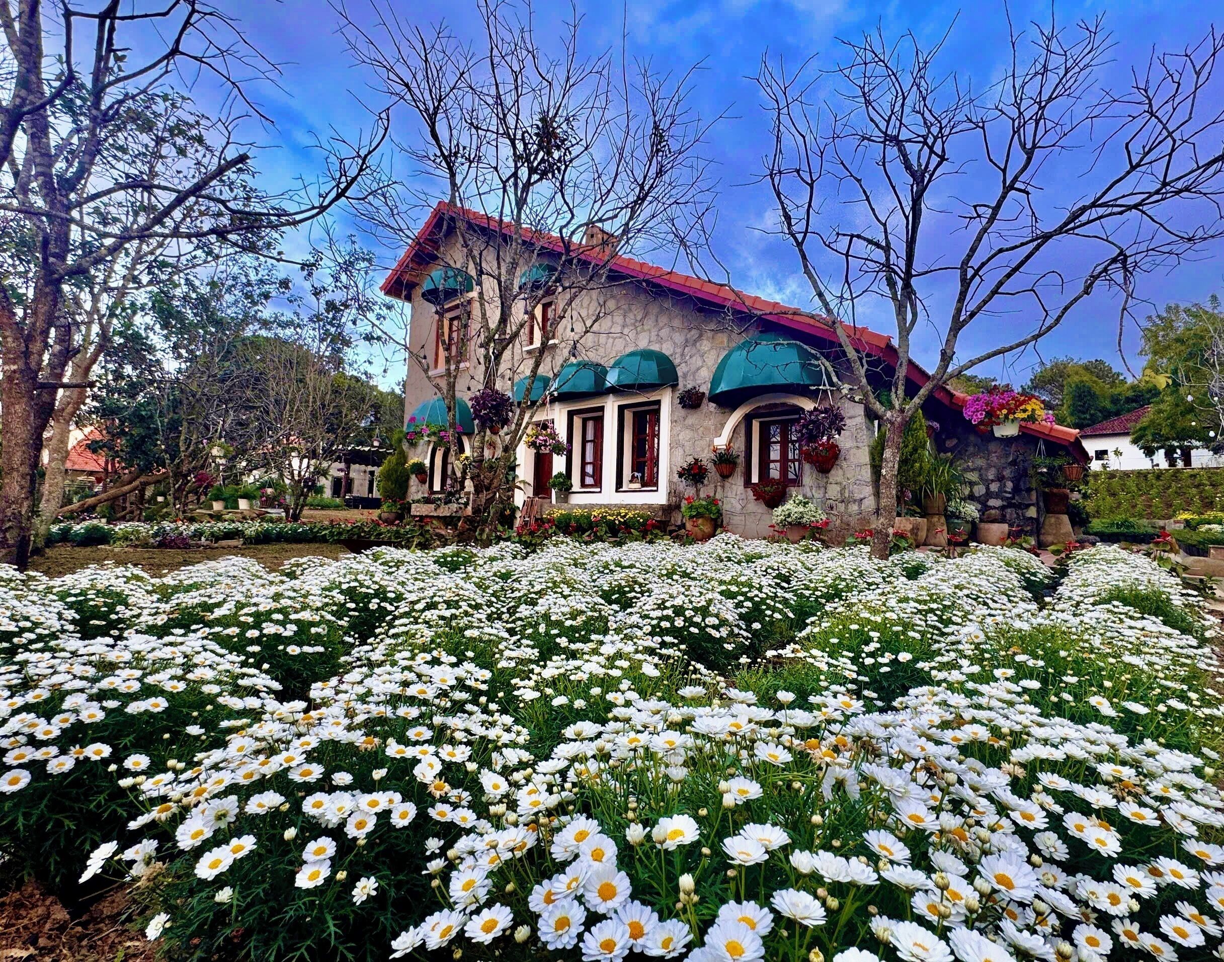 Outdoor view