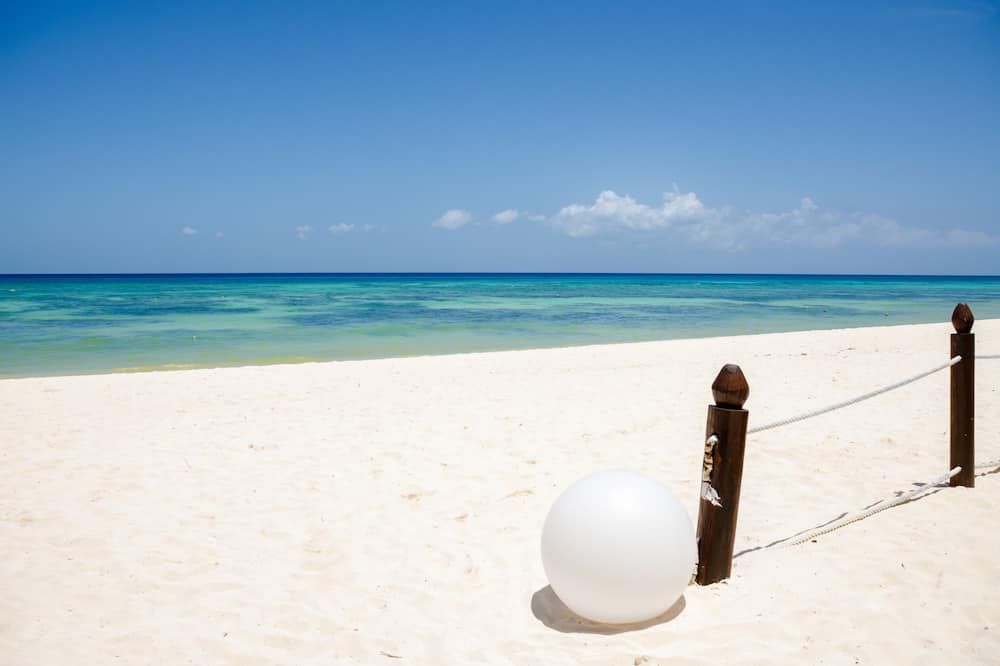 Beach Photo