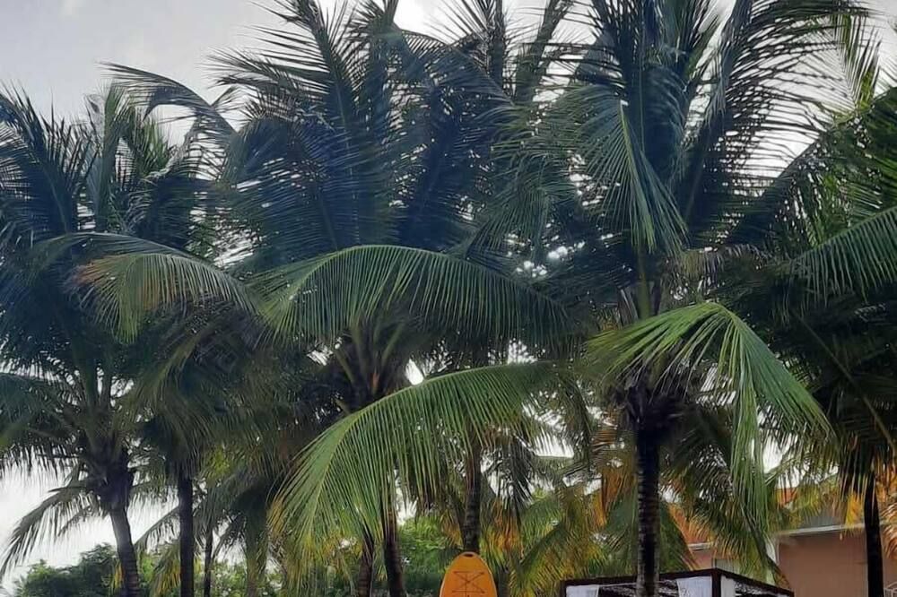 Outdoor view