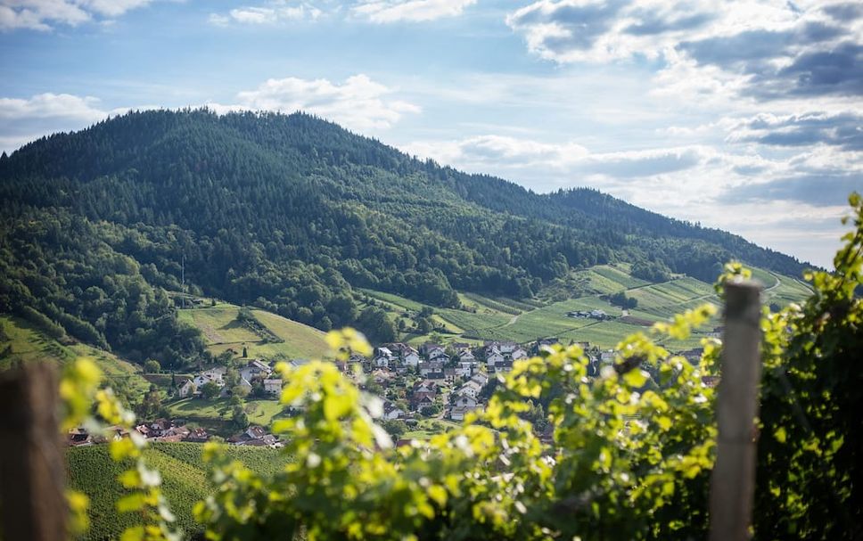 Outdoor view Photo