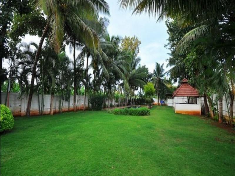 Outdoor view