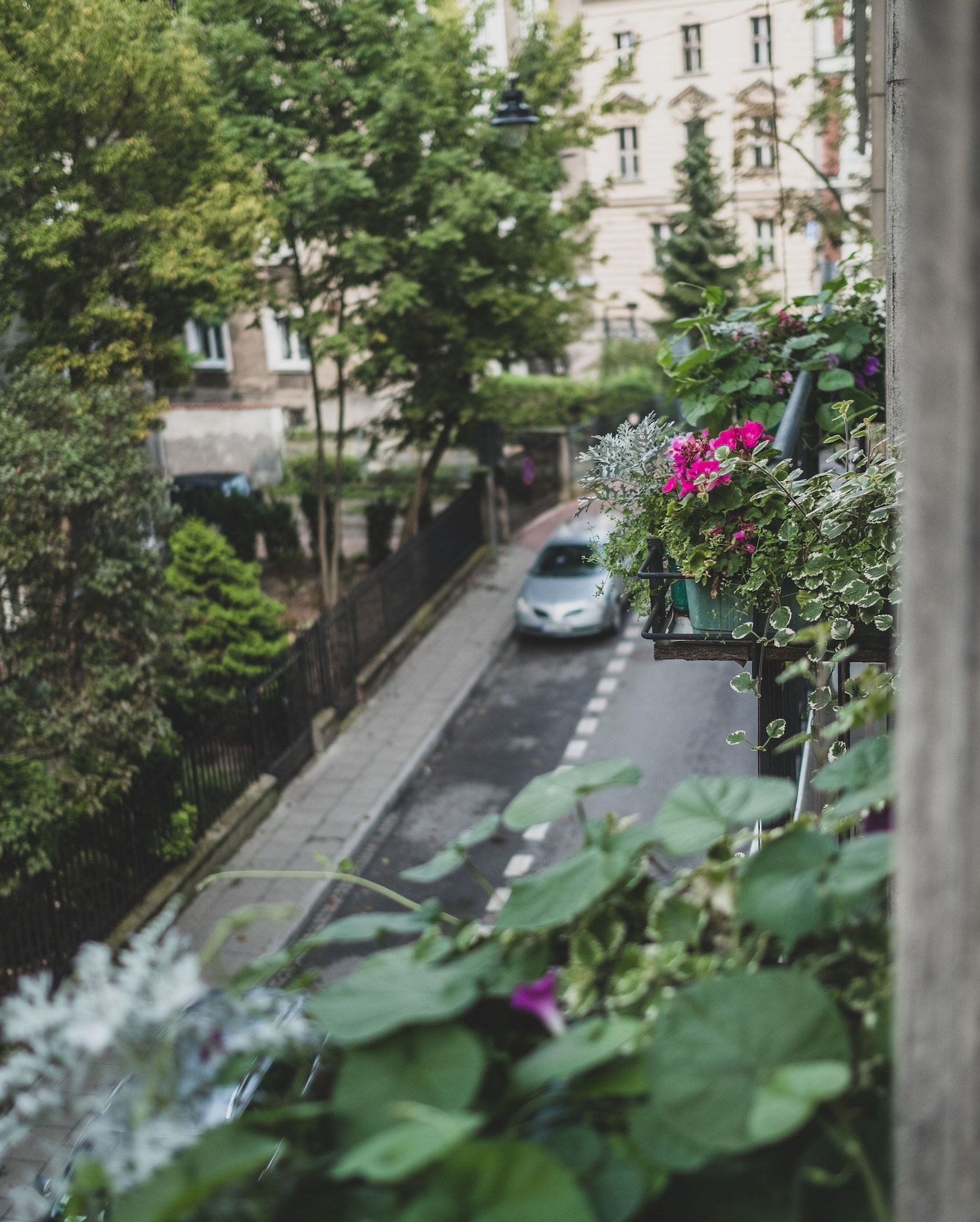 Outdoor view