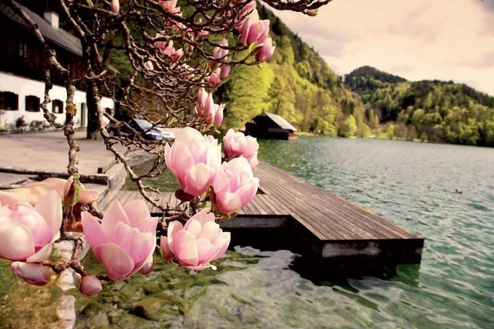 Outdoor view
