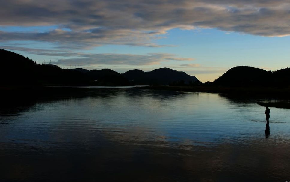Other Photo