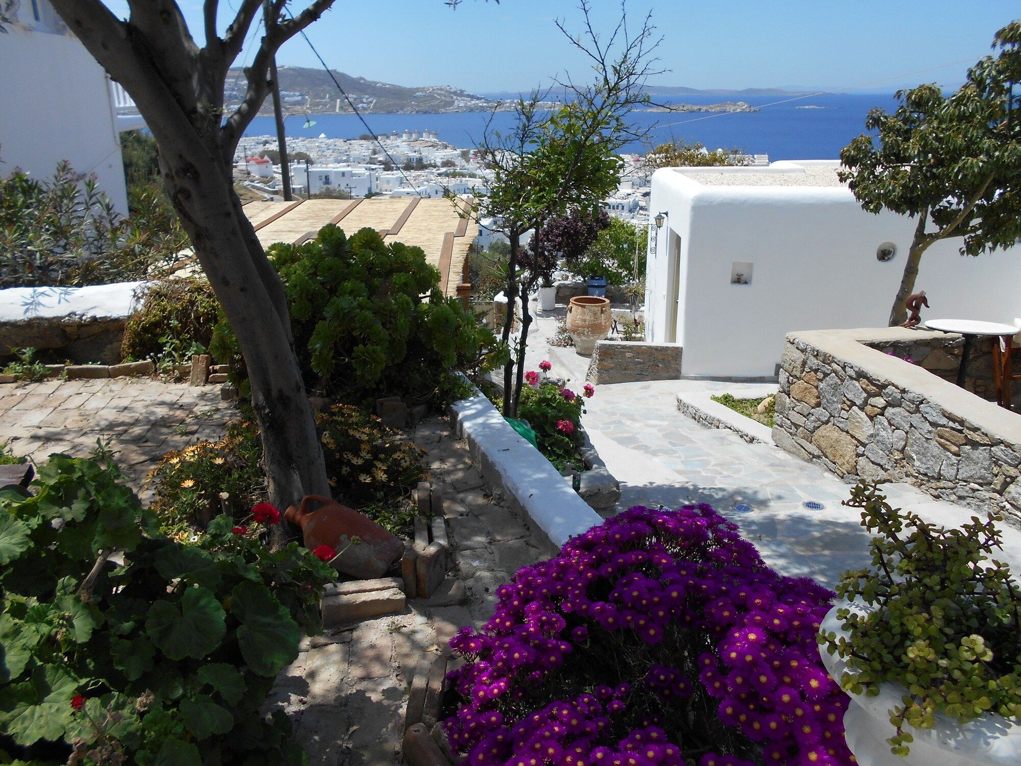Outdoor view