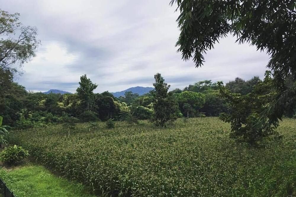 Outdoor view