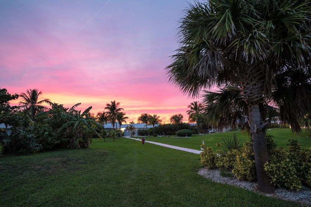 Outdoor view
