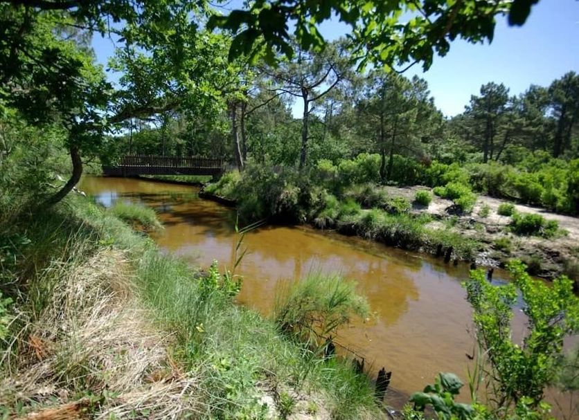 Outdoor view Photo