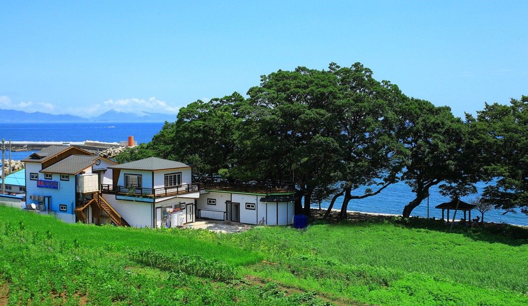 Outdoor view