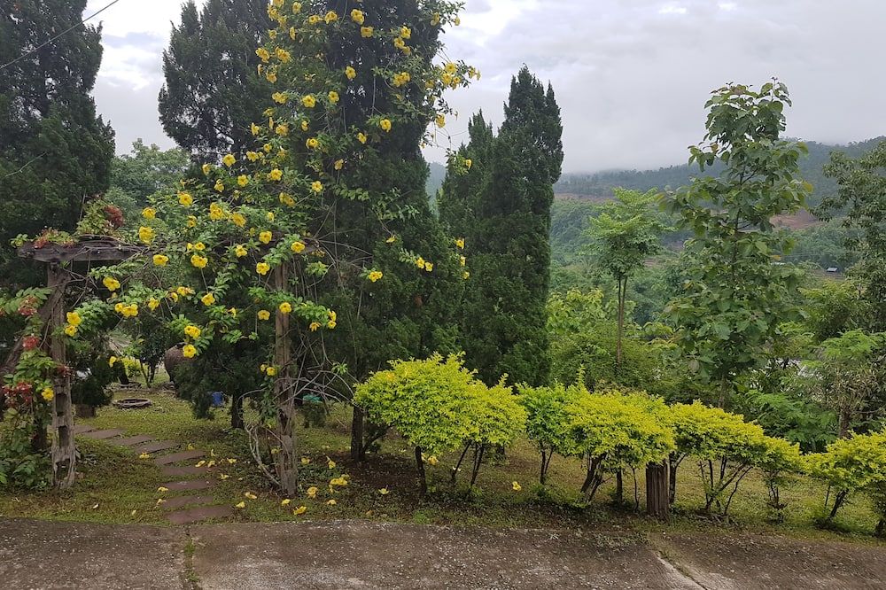 Outdoor view