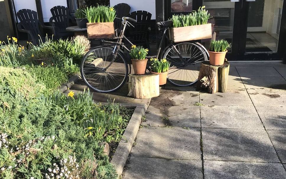 Patio Photo