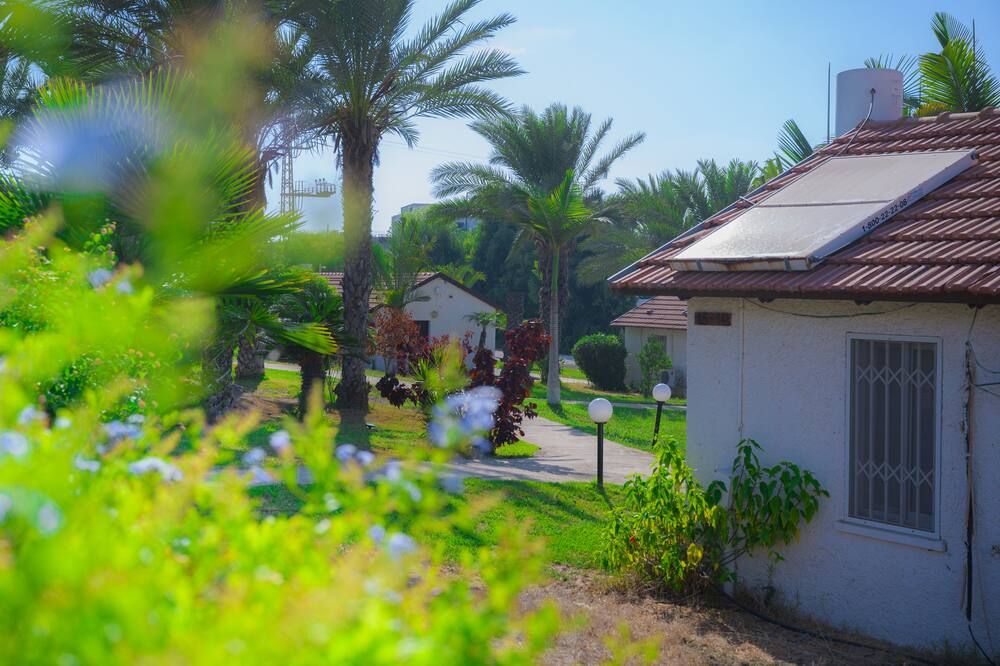 Outdoor view