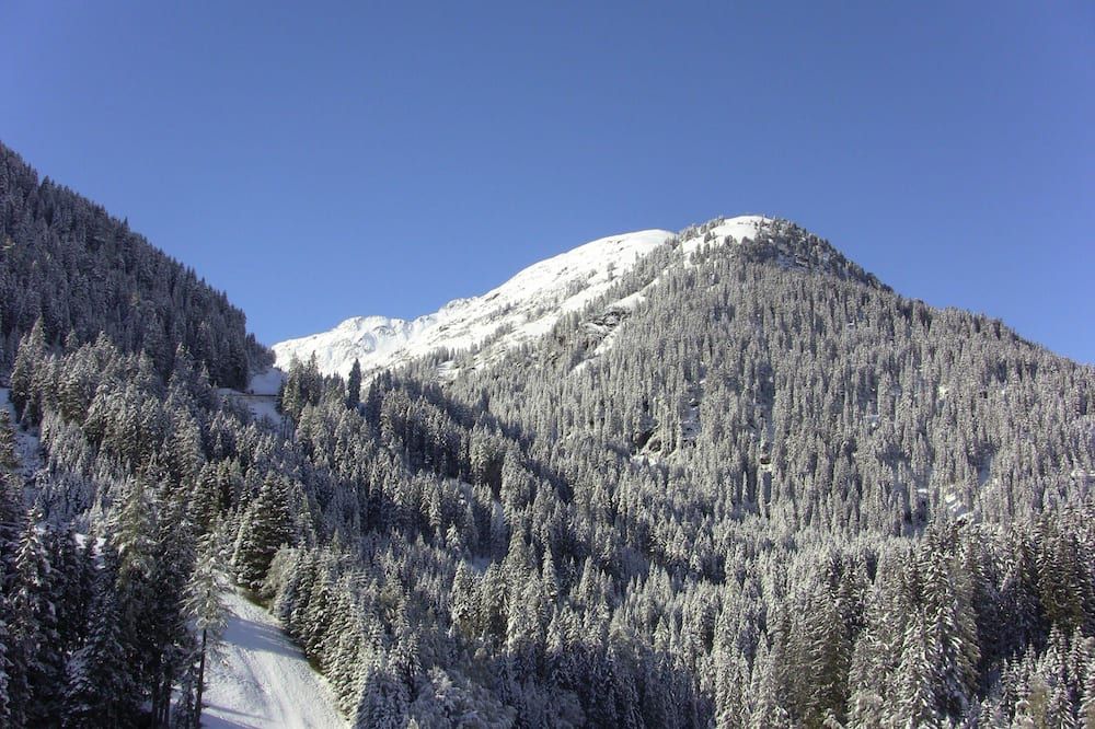 Outdoor view