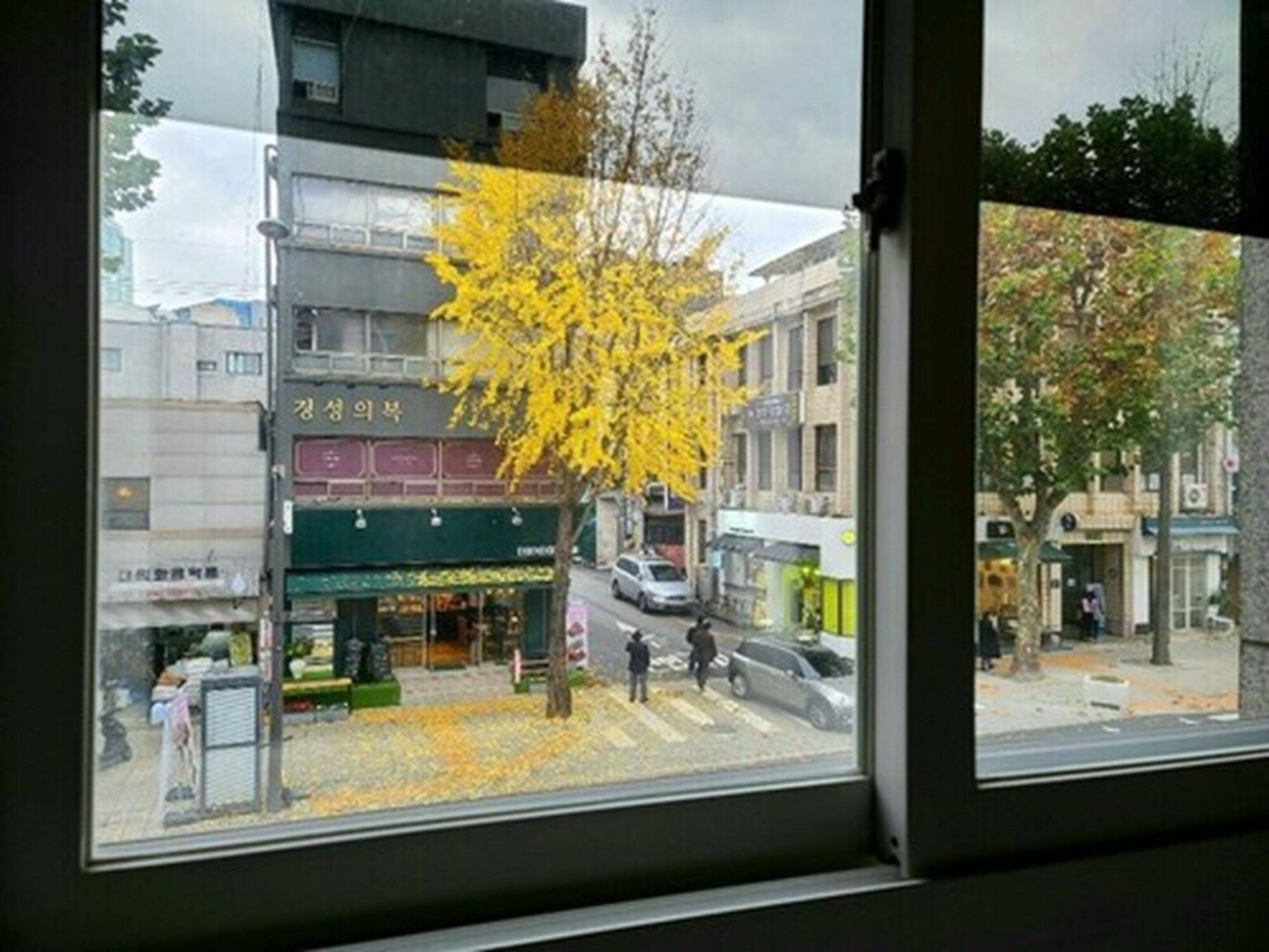 Outdoor view