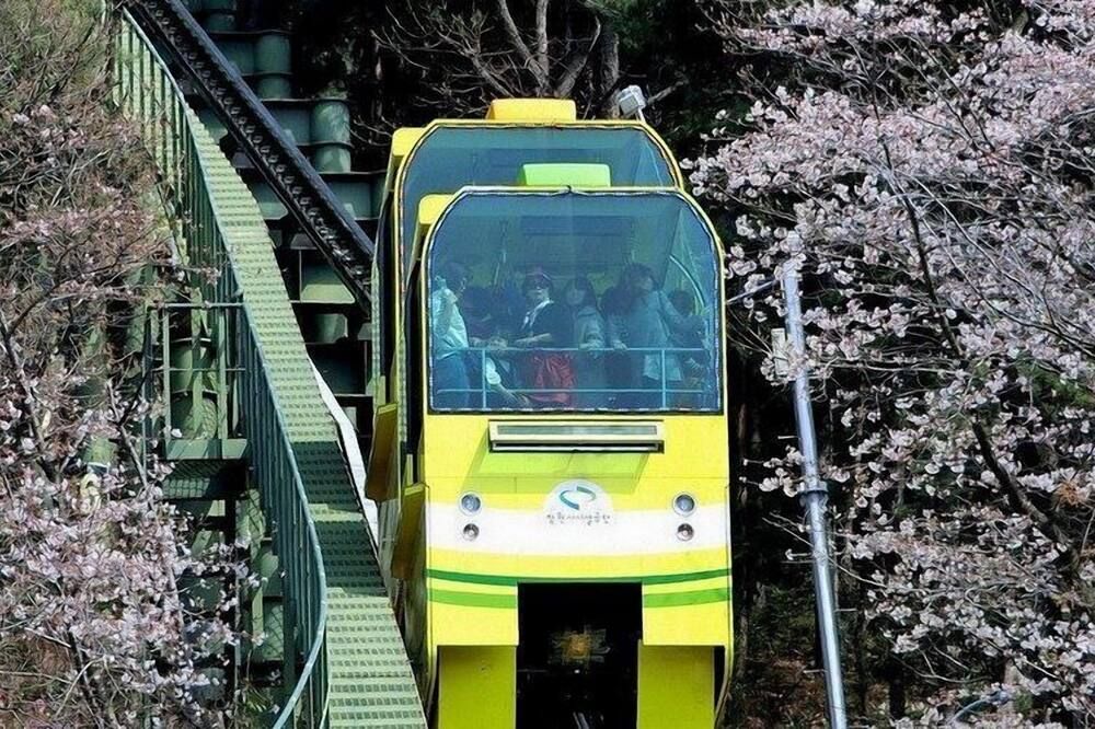 Attractions