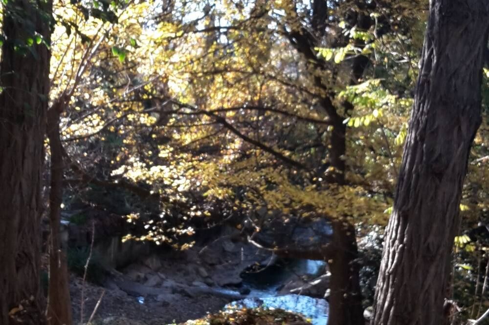 Outdoor view