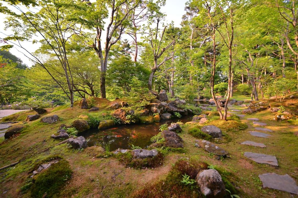 Outdoor view