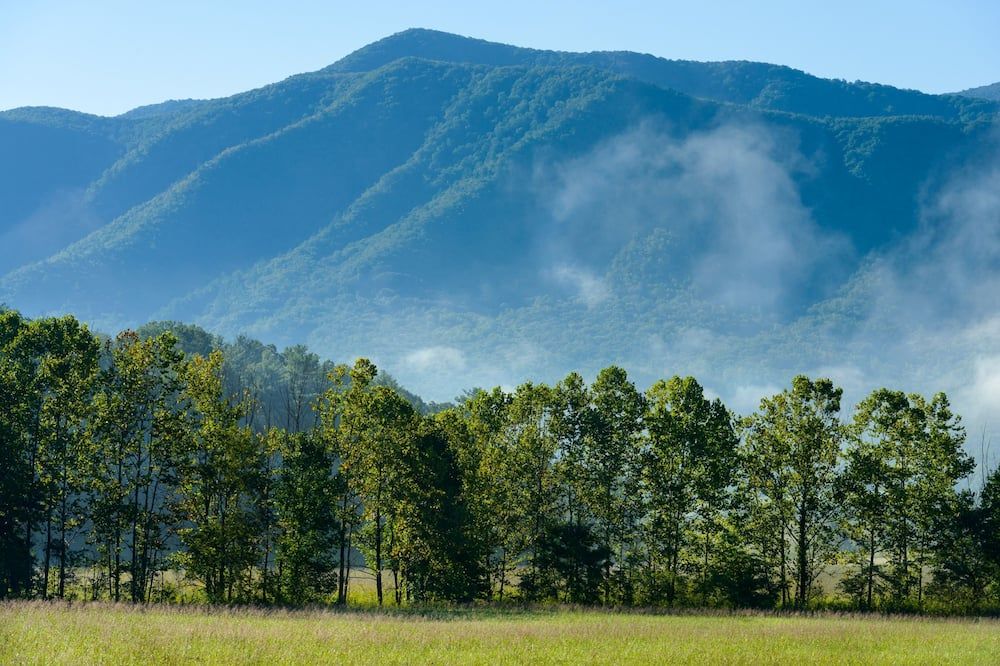 Outdoor view
