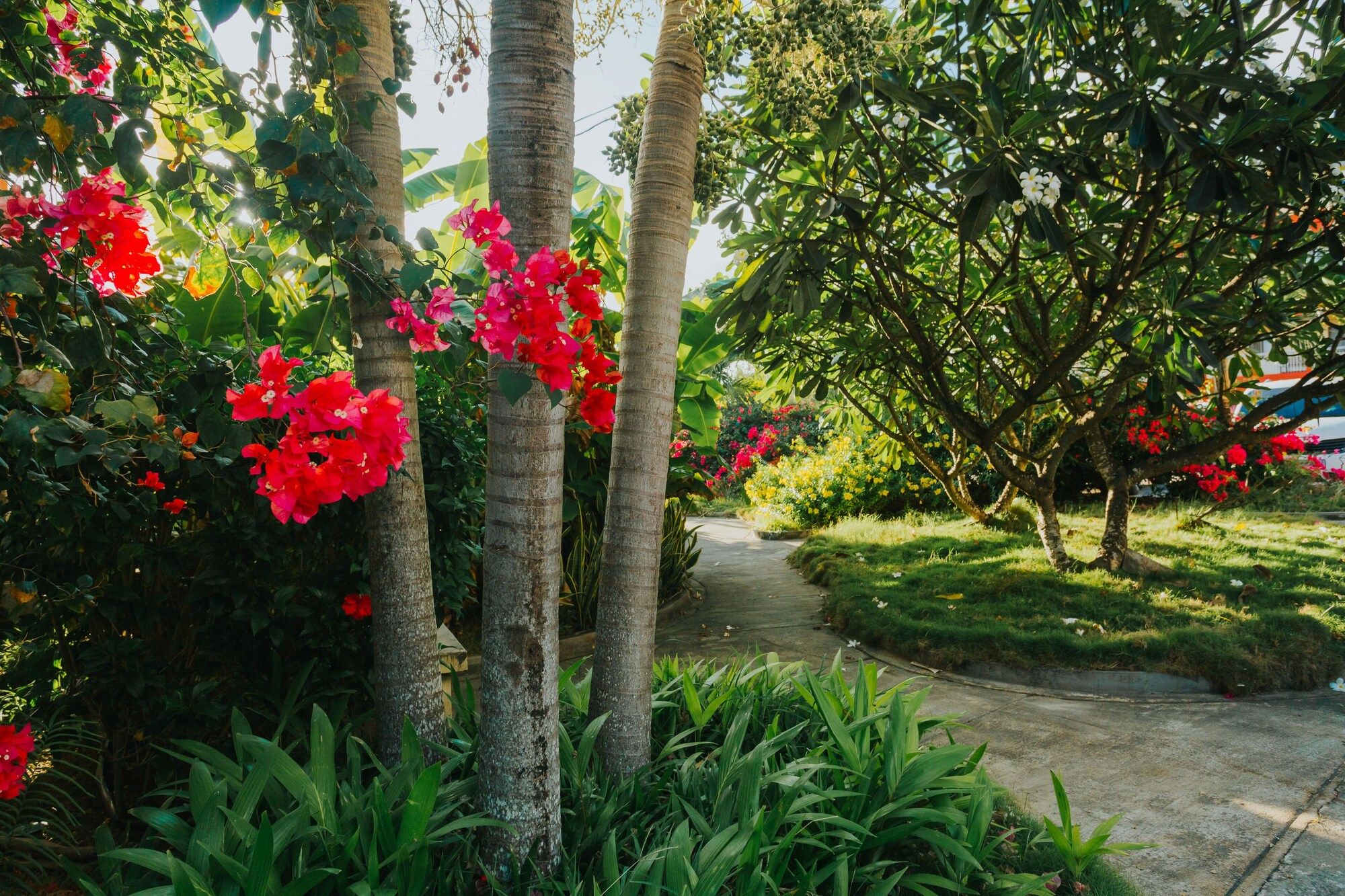 Outdoor view