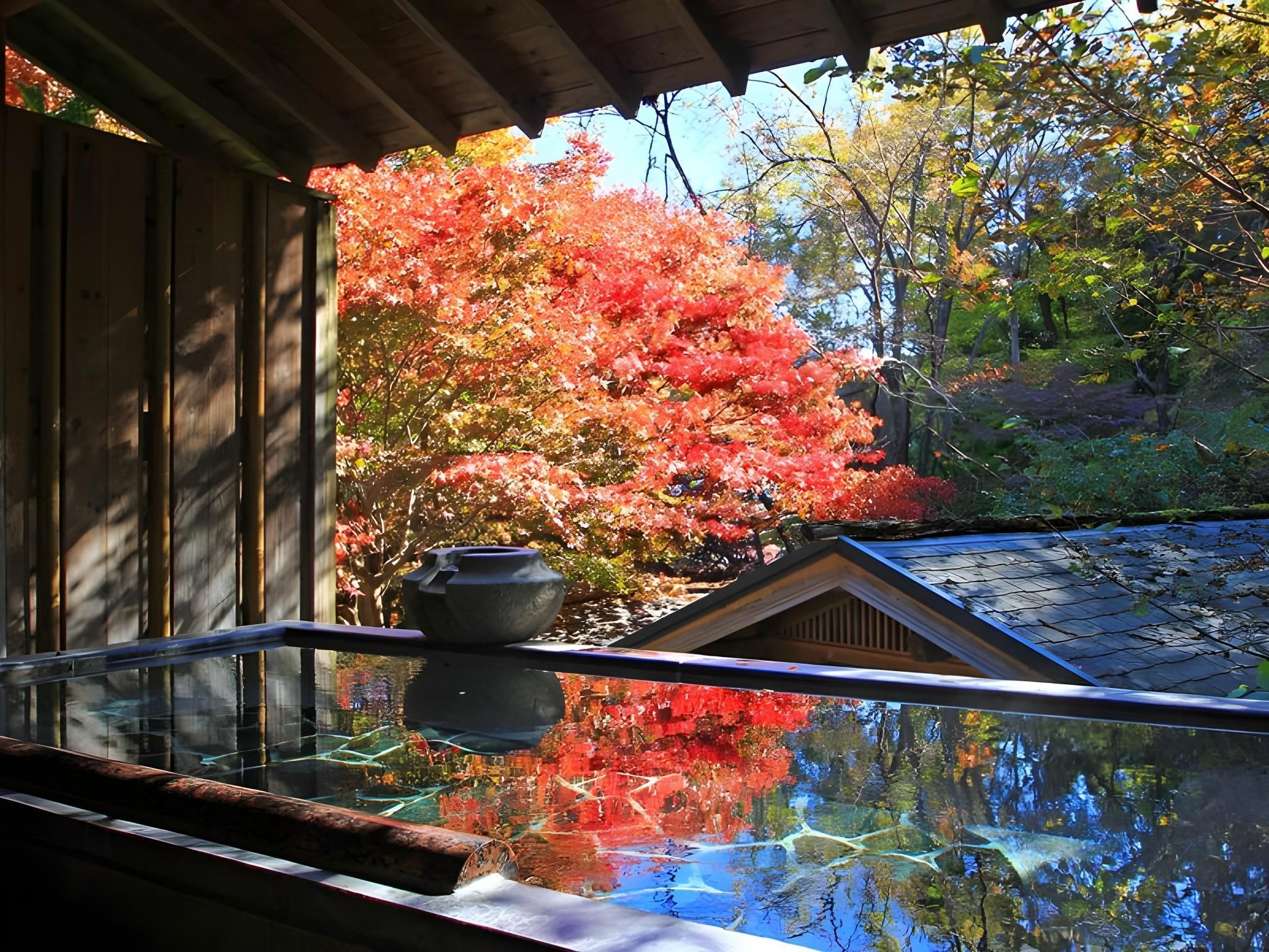 Outdoor view