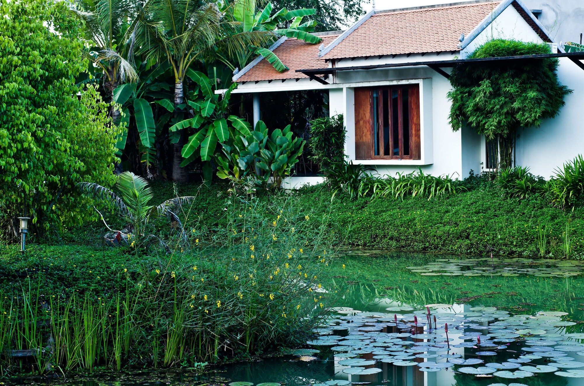 Outdoor view