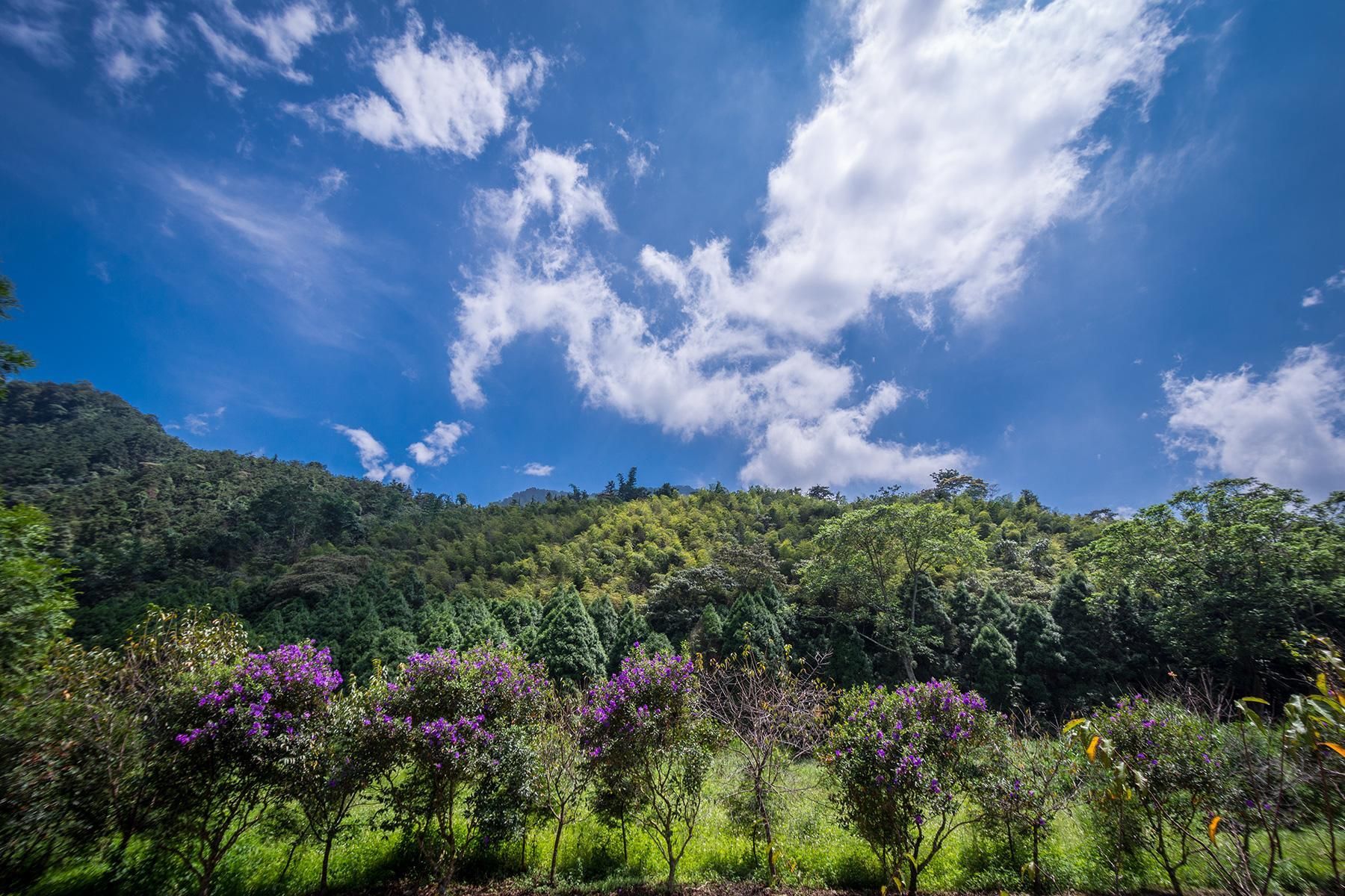 Outdoor view