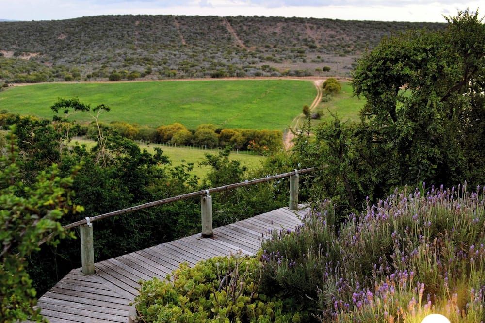 Outdoor view