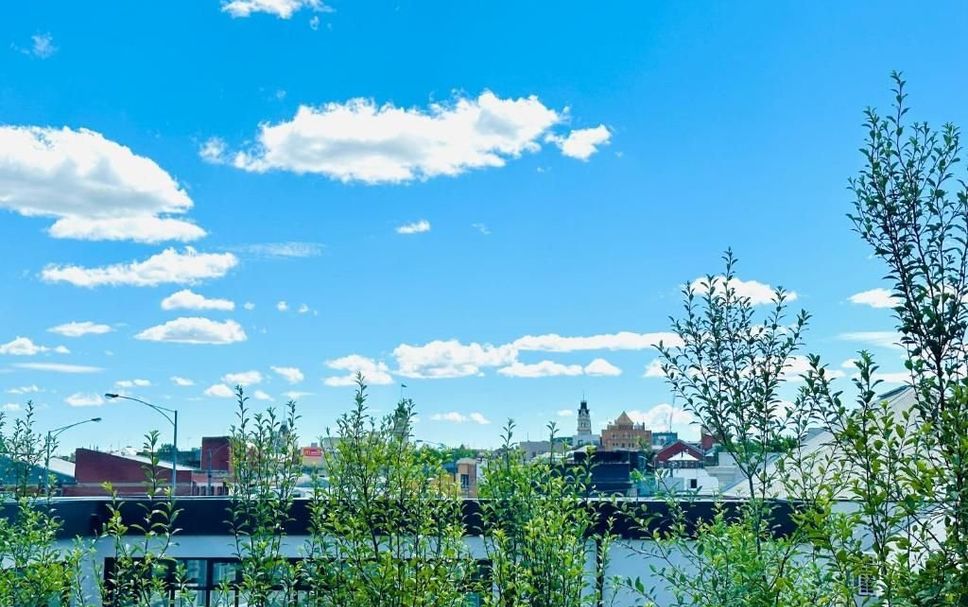 Outdoor view Photo