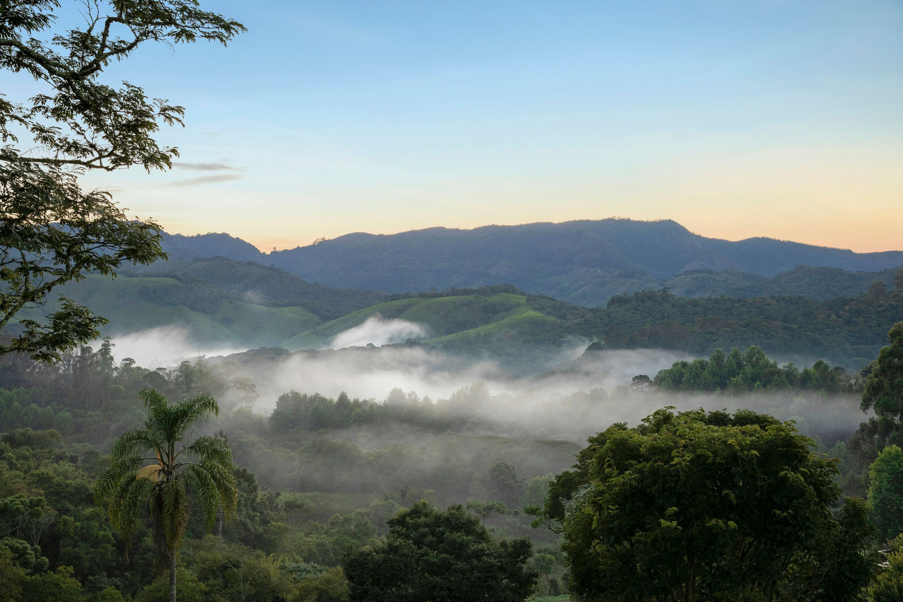 Outdoor view